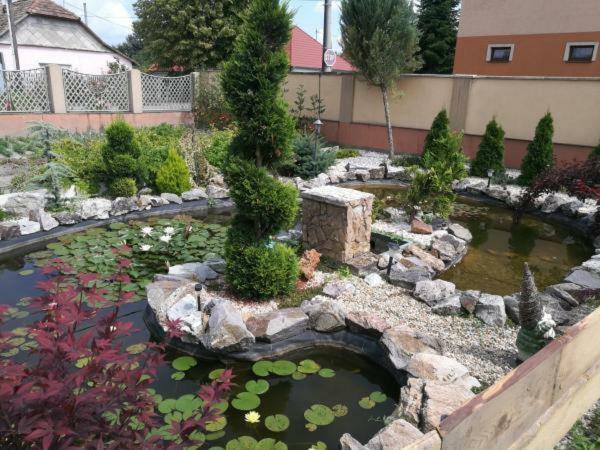 Апартаменты Hodosi Apartman Вельки-Медер Экстерьер фото
